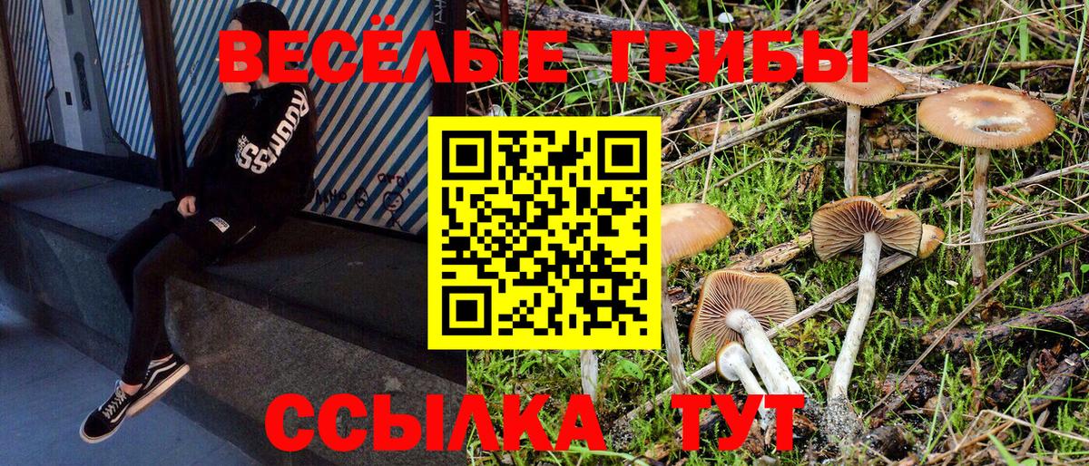 Соль-Илецк  Галлюциногенные грибы Psilocybe  Вход с VPN  Галлюциногенные грибы ЛСД 